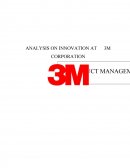 3m Corporation Case Study