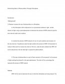 Determining Rates of Photosynthesis Through Chloroplasts