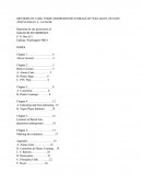 Methods of Long Term Underground Storage by William N, Nelson and Stanley A. Catlow