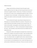 Problem Solving Essay (school Dress Code)