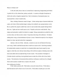 what is a perfect life essay perfect essay