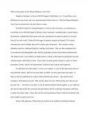 What Is the Purpose of the Human Relations Area Files?