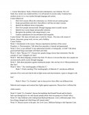 Lesson Plan for Race Class