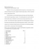 Rochester Business Plan
