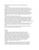 Software Architecture Evolution Framework