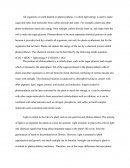 Photosynthesis and Respiration
