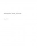 Organizational Behavior and Terminology Paper