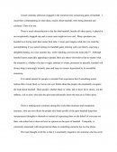 Baseball Essay