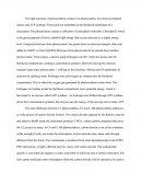 Light Reaction of Photosynthesis