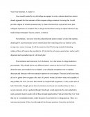 Descriptive Essay