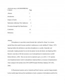 Anylytical Essay on Schizophrenia