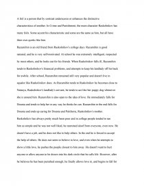 essay on crime