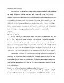 Rate of Germination at Depths with Phosphorus and Without Phosphorus