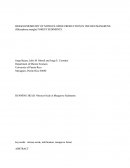 Biogeochemistry of Nitrous Oxide Production in the Red Mangrove (rhizophora Mangle) Forest Sediments