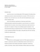 Proposal for Opening a Manufacturing Facility in El Salvador