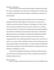 punishment or rehabilitation essay