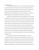 Ethical Perspective Paper