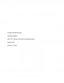 Mgt 578 Simulation Reflection Paper