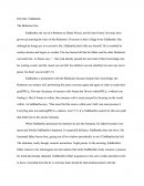 Siddhartha - the Brahmins Son