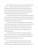 Starbucks Casa Analysis