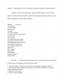 Identifying Organic Compounds Lab Report