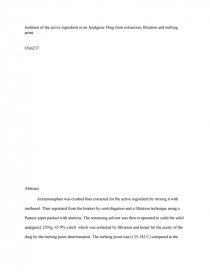 essay on importance of democracy