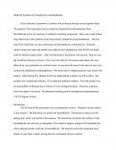 Multistep Synthesis Chemistry Experiment