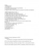Management Environment