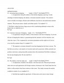 External Audit - Efe Matrix for Wal-Mart