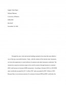 Ebus 400 - Supply Chain Paper