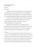 Strategic Plan Development Paper