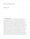 Managing Project Risk