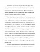 Rabbit Run Analysis