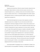 Three Forms of Interpretivism