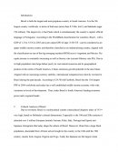 Country Analysis of Brazil (cultural Circumstances)
