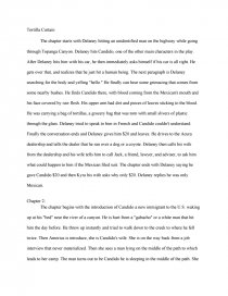 Tortilla Curtain Chapter By Chapter Summary Book Movie Report