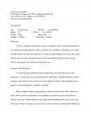 Example Resume