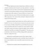 Globlization Effects on Sme's