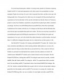 Achieving Set Goals the Catcher in the Rye