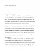 Advertising Plan and Creative Brief