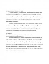 freedom and discipline montessori essay