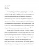 Mkt 421 - Netflix Case