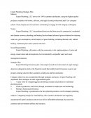Expert Plumbing, Llc - Strategic Business Plan