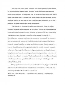 Animal Rights Essay