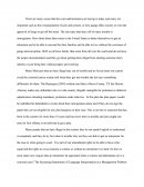 Immigration Case