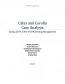 Calyx and Corolla Case Analysis