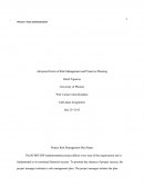 Advanced Forms of Risk Management and Proactive Planning