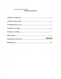Business Essay Structure Zoom Zoom Compare And Contrast Essay Examples For High School also Writers For Assignment Required Vitas Healthcare Hospice And Palliative Care Strategic Plan And Argumentative Essay On Health Care Reform