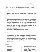 Difussion in Agar Cubes – Lab Report