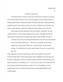 It's Kind of a Funny Story Theme Essay - Essay